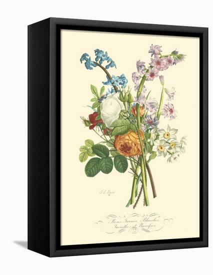 Plentiful Bouquet IV-T.L. Prevost-Framed Stretched Canvas