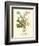 Plentiful Bouquet IV-T.L. Prevost-Framed Premium Giclee Print