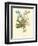 Plentiful Bouquet IV-T.L. Prevost-Framed Premium Giclee Print