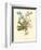 Plentiful Bouquet IV-T.L. Prevost-Framed Premium Giclee Print