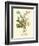 Plentiful Bouquet IV-T.L. Prevost-Framed Premium Giclee Print