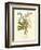 Plentiful Bouquet IV-T.L. Prevost-Framed Premium Giclee Print