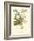 Plentiful Bouquet IV-T.L. Prevost-Framed Art Print