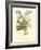 Plentiful Bouquet IV-T.L. Prevost-Framed Art Print