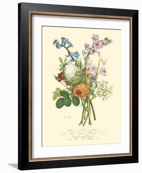 Plentiful Bouquet IV-T.L. Prevost-Framed Art Print