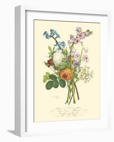 Plentiful Bouquet IV-T.L. Prevost-Framed Art Print