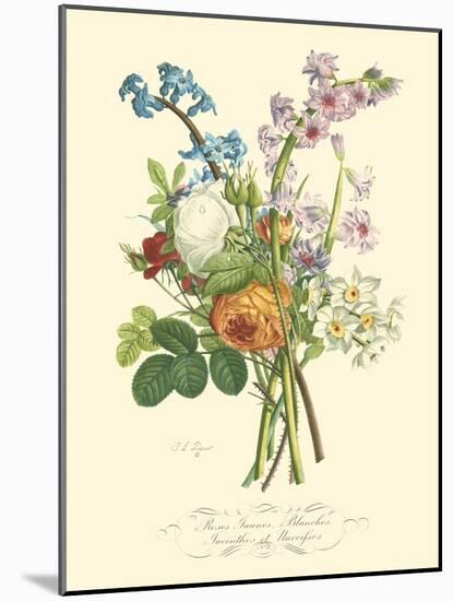 Plentiful Bouquet IV-T.L. Prevost-Mounted Art Print