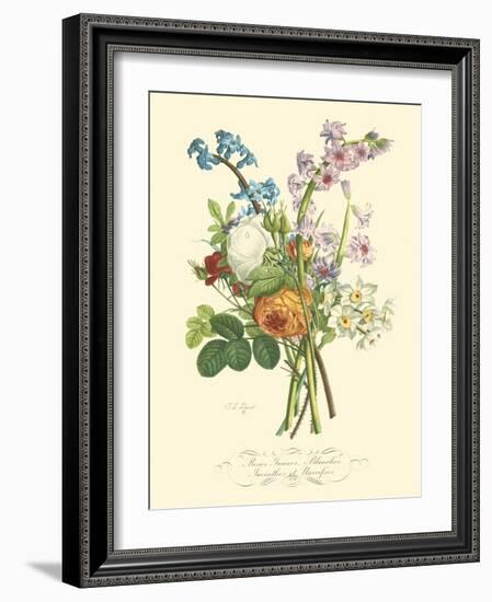 Plentiful Bouquet IV-T.L. Prevost-Framed Art Print