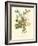 Plentiful Bouquet IV-T.L. Prevost-Framed Art Print