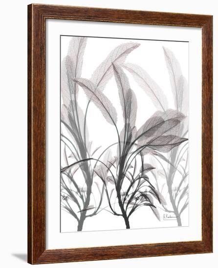 Plentiful Embrace 2-Albert Koetsier-Framed Photo