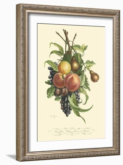 Plentiful Fruits I-Jean Louis Prevost-Framed Art Print