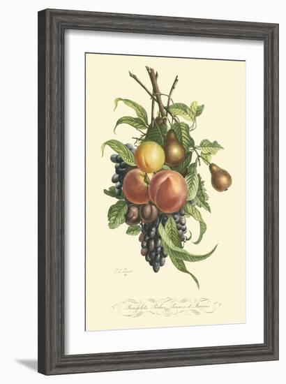 Plentiful Fruits I-Jean Louis Prevost-Framed Art Print