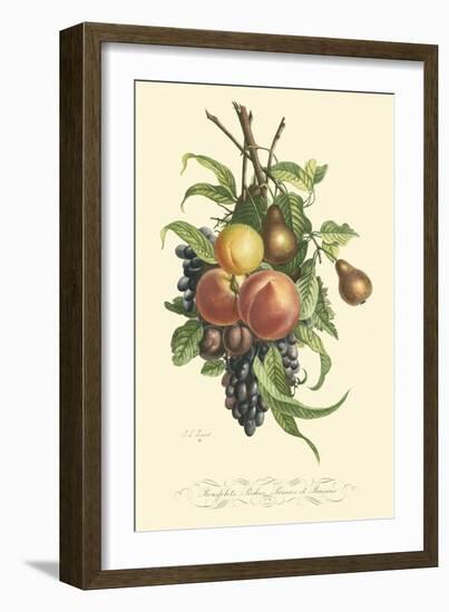 Plentiful Fruits I-Jean Louis Prevost-Framed Art Print