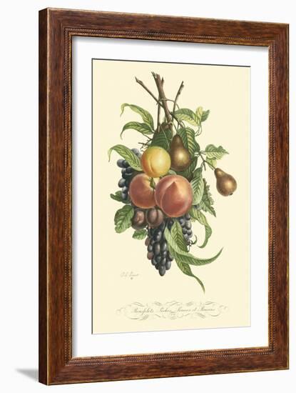 Plentiful Fruits I-Jean Louis Prevost-Framed Art Print