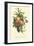 Plentiful Fruits I-Jean Louis Prevost-Framed Art Print