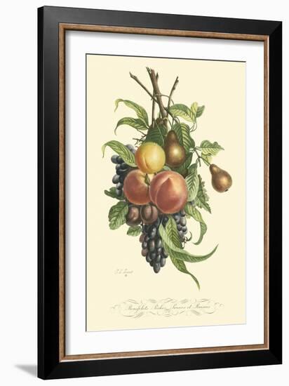 Plentiful Fruits I-Jean Louis Prevost-Framed Art Print