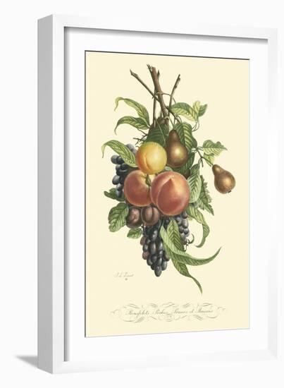 Plentiful Fruits I-Jean Louis Prevost-Framed Art Print