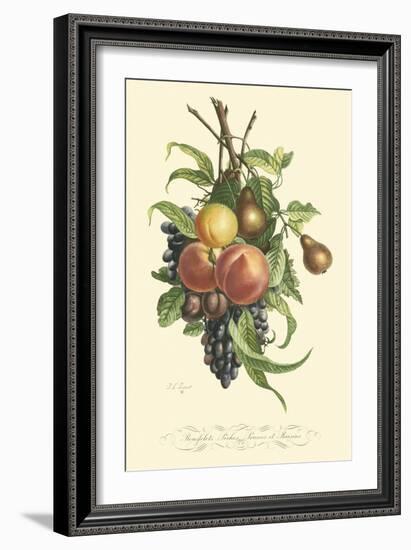 Plentiful Fruits I-Jean Louis Prevost-Framed Art Print