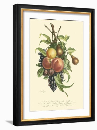 Plentiful Fruits I-Jean Louis Prevost-Framed Art Print