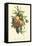 Plentiful Fruits I-Jean Louis Prevost-Framed Stretched Canvas