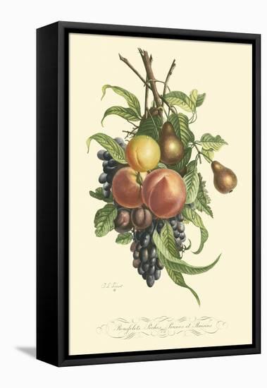 Plentiful Fruits I-Jean Louis Prevost-Framed Stretched Canvas