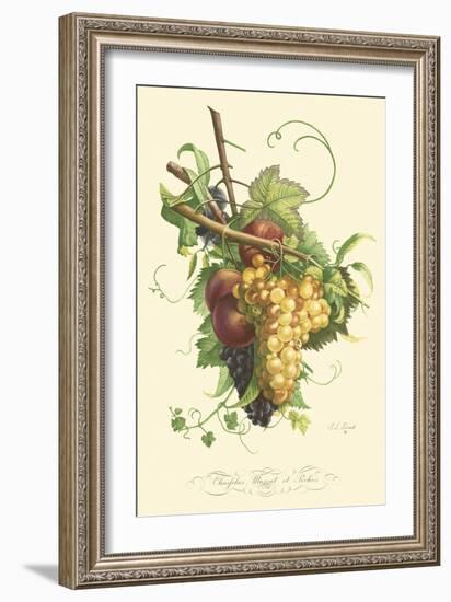 Plentiful Fruits II-Jean Louis Prevost-Framed Art Print