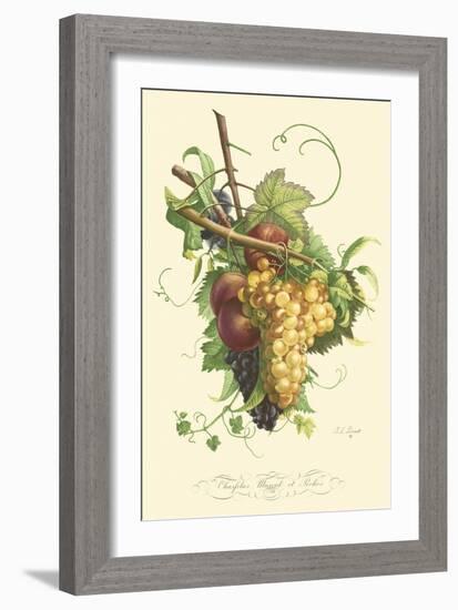 Plentiful Fruits II-Jean Louis Prevost-Framed Art Print