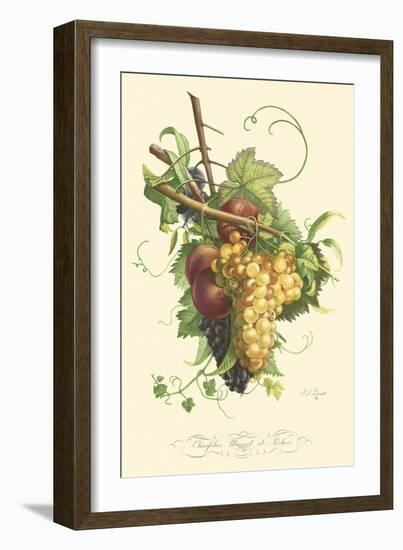 Plentiful Fruits II-Jean Louis Prevost-Framed Art Print