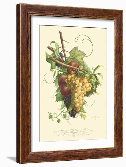 Plentiful Fruits II-Jean Louis Prevost-Framed Art Print