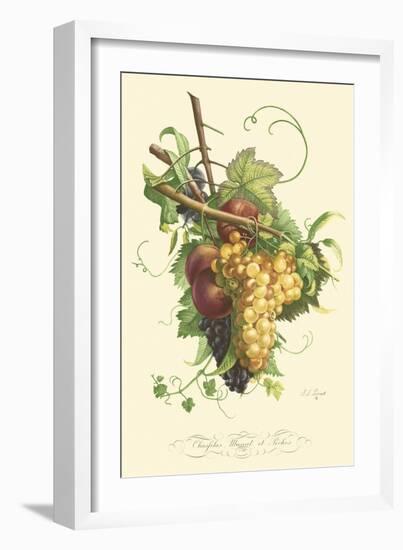 Plentiful Fruits II-Jean Louis Prevost-Framed Art Print