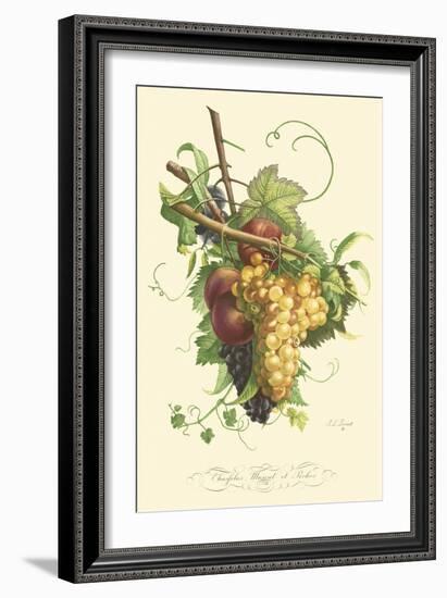 Plentiful Fruits II-Jean Louis Prevost-Framed Art Print