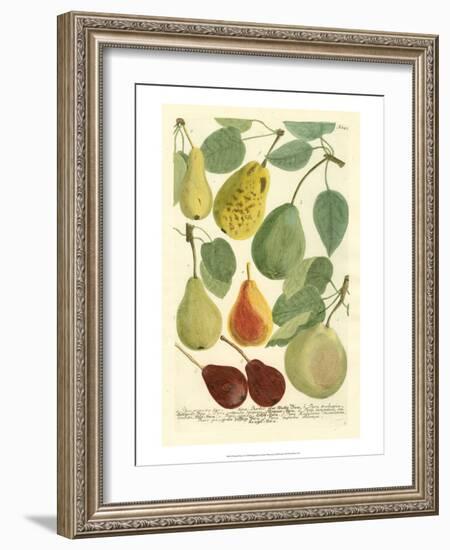 Plentiful Pears I-Johann Wilhelm Weinmann-Framed Art Print