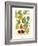 Plentiful Pears I-Johann Wilhelm Weinmann-Framed Art Print