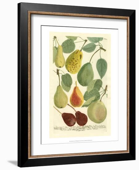 Plentiful Pears I-Johann Wilhelm Weinmann-Framed Art Print