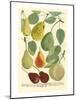 Plentiful Pears I-Johann Wilhelm Weinmann-Mounted Art Print