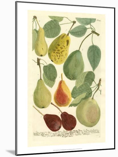 Plentiful Pears I-Johann Wilhelm Weinmann-Mounted Art Print