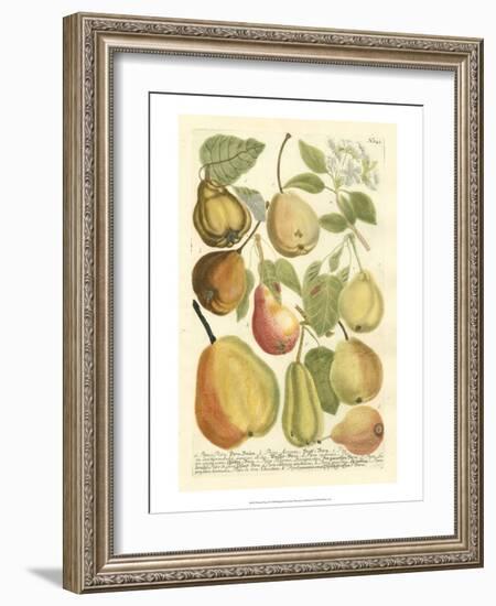 Plentiful Pears II-Johann Wilhelm Weinmann-Framed Art Print