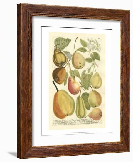 Plentiful Pears II-Johann Wilhelm Weinmann-Framed Art Print