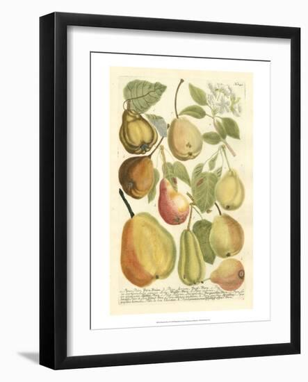 Plentiful Pears II-Johann Wilhelm Weinmann-Framed Art Print