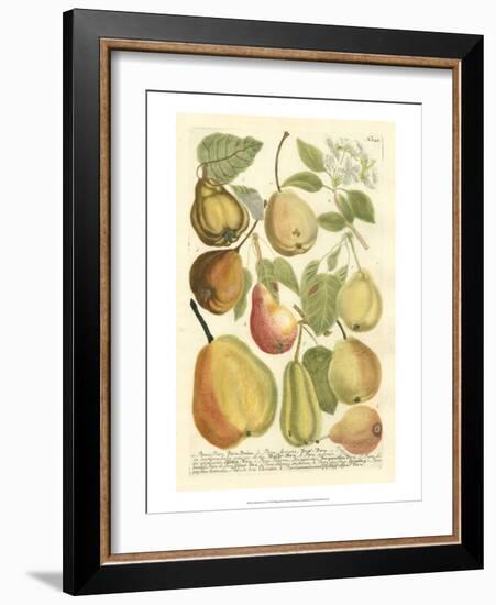 Plentiful Pears II-Johann Wilhelm Weinmann-Framed Art Print