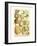 Plentiful Pears II-Johann Wilhelm Weinmann-Framed Art Print