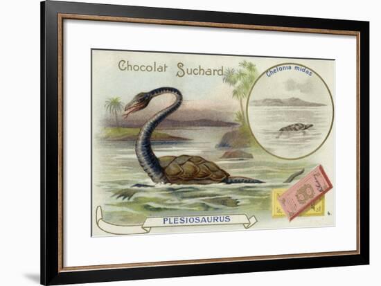 Plesiosaur and Green Sea Turtle-null-Framed Giclee Print