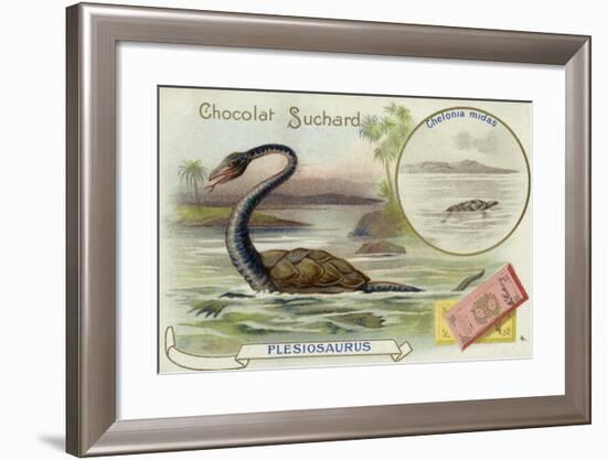 Plesiosaur and Green Sea Turtle-null-Framed Giclee Print