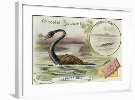 Plesiosaur and Green Sea Turtle-null-Framed Giclee Print