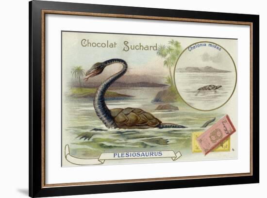 Plesiosaur and Green Sea Turtle-null-Framed Giclee Print