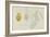 Pleurobranchus Aureus: Yellow-Plumed Sea Slug-Philip Henry Gosse-Framed Giclee Print