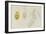 Pleurobranchus Aureus: Yellow-Plumed Sea Slug-Philip Henry Gosse-Framed Giclee Print