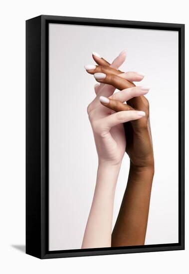 Plexus of Female Hands and Fingers. Graceful Female Hands Touch Each Other Isolated on Grey Studio-master1305-Framed Premier Image Canvas