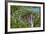 Plitvice Lakes in the National Park Plitvicka Jezera, Croatia-Martin Zwick-Framed Photographic Print