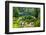 Plitvice Lakes National Park, Croatia-Lamarinx-Framed Photographic Print